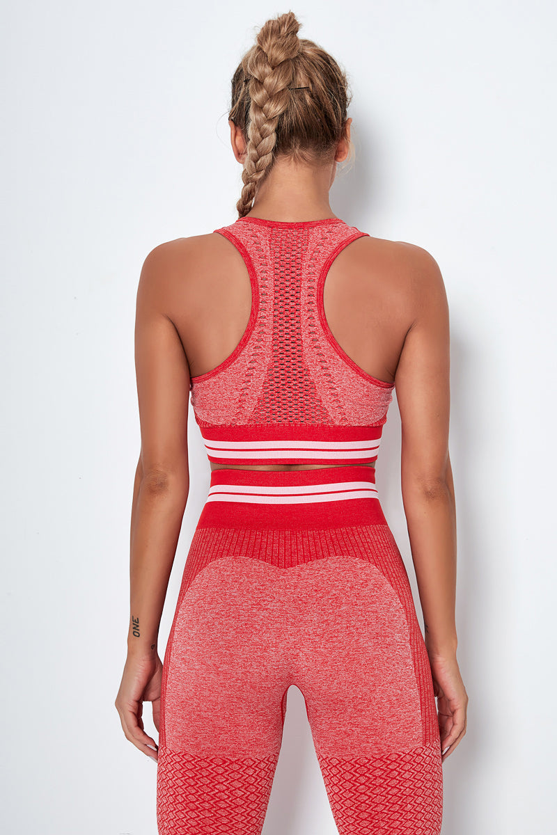 Knitted Stripe Seamless Sports Bra