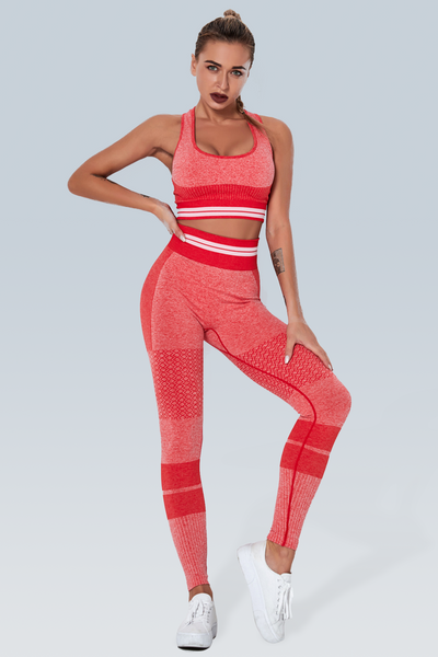 Knitted Stripe Seamless Legging